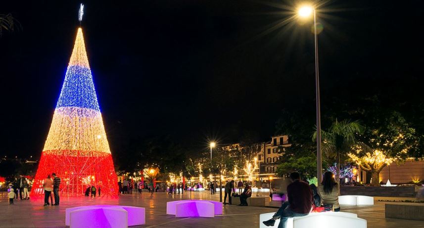 All About Christmas in Madeira- Christmas trees